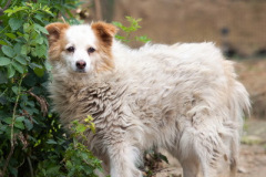 phoca_thumb_l_IMG_8144_resize