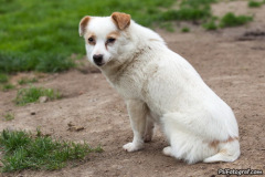 phoca_thumb_l_IMG_8161_resize