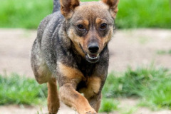 phoca_thumb_l_IMG_8164_resize
