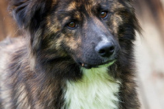phoca_thumb_l_IMG_8221_resize