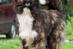 phoca_thumb_l_IMG_8242_resize