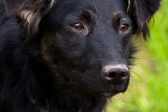 phoca_thumb_l_IMG_8265_resize