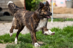 phoca_thumb_l_IMG_8304_resize