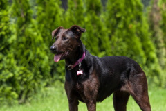 phoca_thumb_l_IMG_6905_resize
