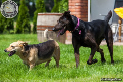 phoca_thumb_l_IMG_6917_resize