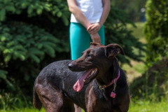phoca_thumb_l_IMG_6920_resize