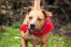 phoca_thumb_l_IMG_2771_resize