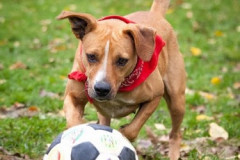 phoca_thumb_l_IMG_2778_resize