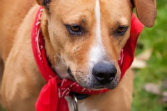 phoca_thumb_l_IMG_2781_resize