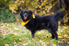 phoca_thumb_l_IMG_2792_resize