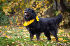 phoca_thumb_l_IMG_2796_resize