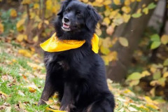 phoca_thumb_l_IMG_2800_resize