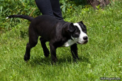 phoca_thumb_l_IMG_6563_resize