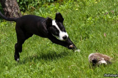 phoca_thumb_l_IMG_6564_resize