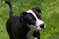 phoca_thumb_l_IMG_6569_resize