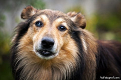 phoca_thumb_l_IMG_2083_resize