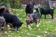 phoca_thumb_l_IMG_2085_resize