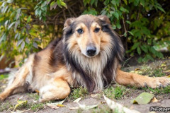 phoca_thumb_l_IMG_2137_resize