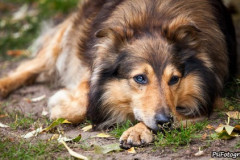phoca_thumb_l_IMG_2146_resize