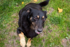 phoca_thumb_l_IMG_2151_resize