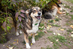 phoca_thumb_l_IMG_2152_resize