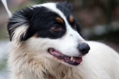 phoca_thumb_l_IMG_1591_resize
