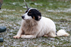 phoca_thumb_l_IMG_1597_resize