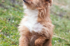 phoca_thumb_l_IMG_1682_resize