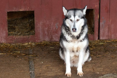 phoca_thumb_l_IMG_1715_resize