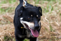 phoca_thumb_l_IMG_4664_resize