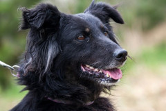 phoca_thumb_l_IMG_4896_resize