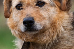 phoca_thumb_l_IMG_4926_resize