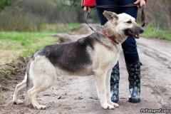 phoca_thumb_l_IMG_5030_resize
