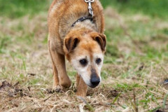 phoca_thumb_l_IMG_5054_resize