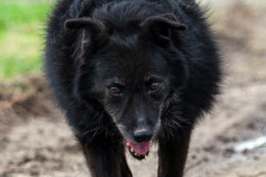 phoca_thumb_l_IMG_5097_resize