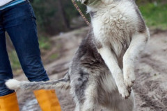phoca_thumb_l_IMG_5154_resize