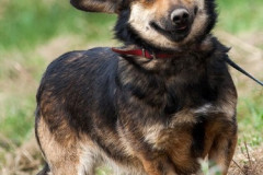 phoca_thumb_l_IMG_5473_resize