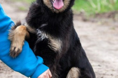 phoca_thumb_l_IMG_5592_resize