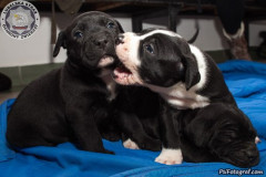 phoca_thumb_l_IMG_2627_resize