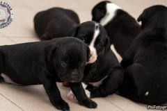 phoca_thumb_l_IMG_2661_resize