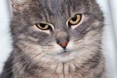 phoca_thumb_l_IMG_2672_resize