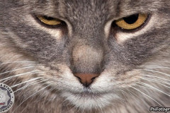phoca_thumb_l_IMG_2675_resize