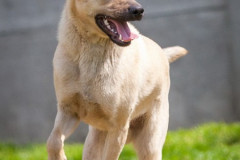 phoca_thumb_l_IMG_6683_resize