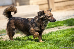 phoca_thumb_l_IMG_6691_resize