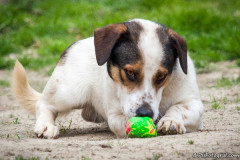 phoca_thumb_l_IMG_6731_resize