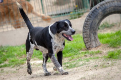 phoca_thumb_l_IMG_6749_resize