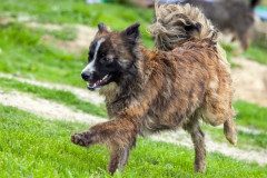 phoca_thumb_l_IMG_6783_resize