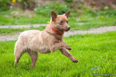 phoca_thumb_l_IMG_6841_resize