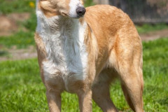phoca_thumb_l_IMG_6947_resize