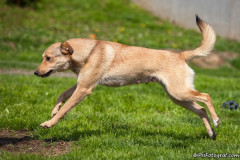 phoca_thumb_l_IMG_6972_resize